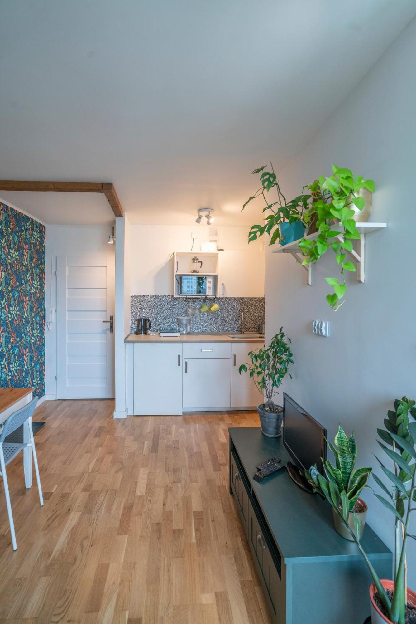 Green Studio In The City Center Of Wroclaw Bagian luar foto